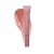 303 Salmon pink 